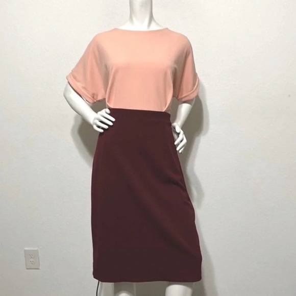 Alexia Ardmor NEW Color Block Pink/Burgundy Midi Sheath Dress Size XL - Picture 3 of 12
